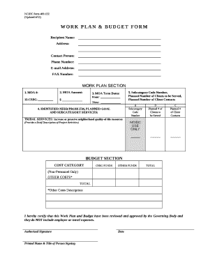 WORK PLAN SECTION