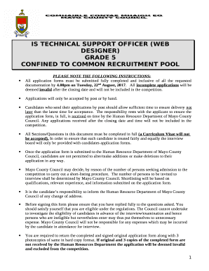 IS TECHNICAL SUPPORT OFFICER (WEB DESIGNER)