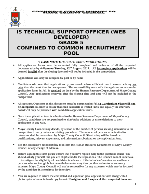 IS TECHNICAL SUPPORT OFFICER (WEB DEVELOPER)