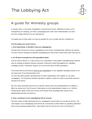 A guide for Amnesty groups