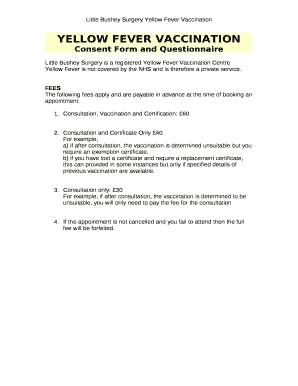 Consent Form and Questionnaire