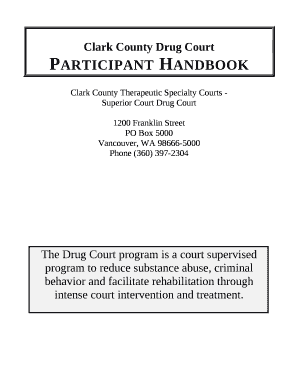 Clark County Drug Court template