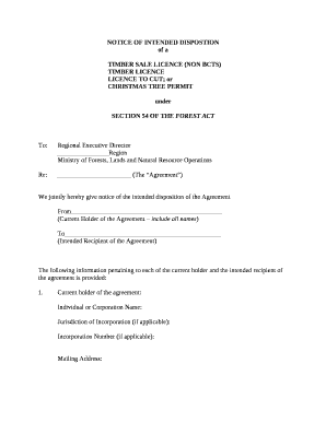 TIMBER SALE LICENCE (NON BCTS)