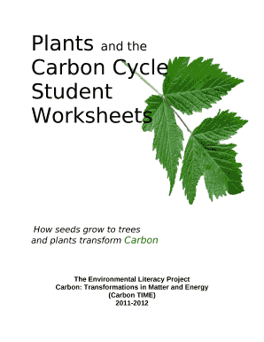 Systems-and-Scale - Carbon TIME