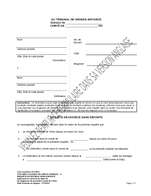 Remplissable Instructions: Ce formulaire a pour objet de dposer une requte en divorce si vous et votre poux/pouse n'avez pas d'enfants, d'enfants adultes scolariss dans un lyce ou d'enfants souffrant d'un handicap