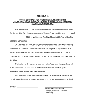 TO THE CONTRACT FOR PROFESSIONAL SERVICES FOR
