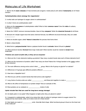 Molecules of Life Worksheet