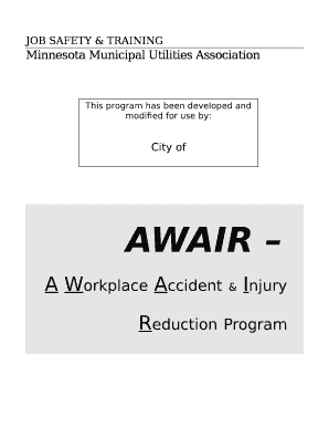 A Workplace Accident & Injury Reduction Program