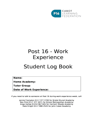 Post 16 - Work Experience
