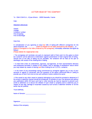 LETTER HEAD OF THE COMPANY