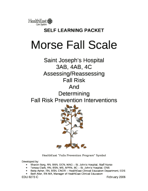 Morse fall scale