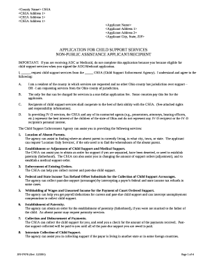 NON-PUBLIC ASSISTANCE APPLICANT/RECIPIENT