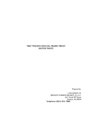 THE *TRUST1 SPECIAL NEEDS TRUST