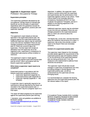 Appendix 4: Supervisor report