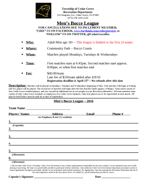 Mens Bocce League