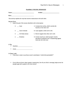 Psychsim 5 neural messages