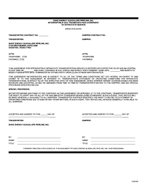 DUKE ENERGY GUADALUPE PIPELINE, INC