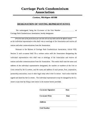 DESIGNATION OF VOTING REPRESENTATIVE