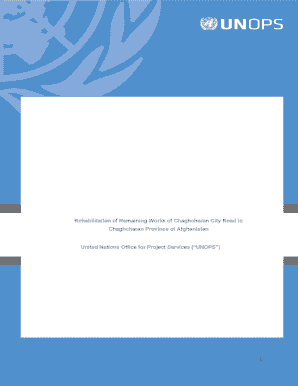 00060527 - Chaghcharan City Road Construction Services