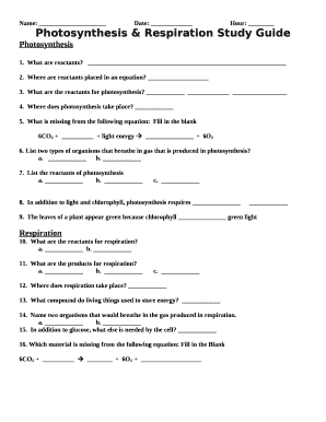 Photosynthesis & Respiration Study Guide