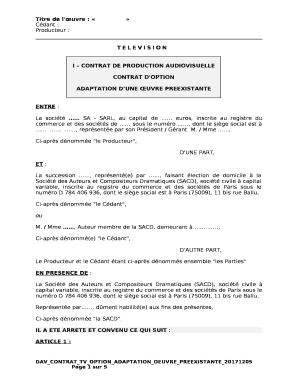 I CONTRAT DE PRODUCTION AUDIOVISUELLE template