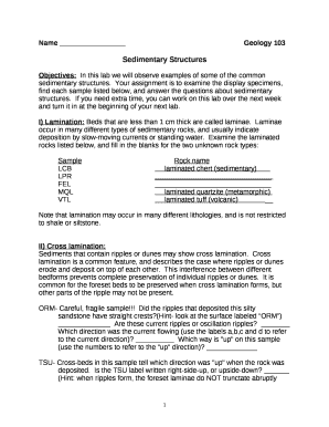 Objectives:In this lab we will observe examples of some of the common sedimentary structures