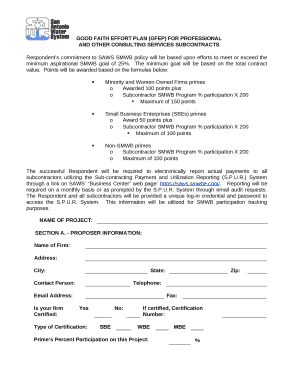 GOOD FAITH EFFORT PLAN (GFEP) FOR PROFESSIONAL