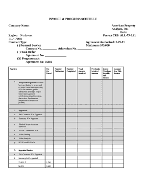 Company Name:American Property Analysts, Inc