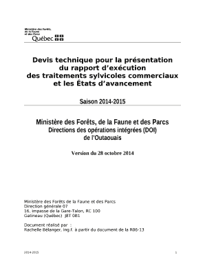 Remplissable du rapport dexcution