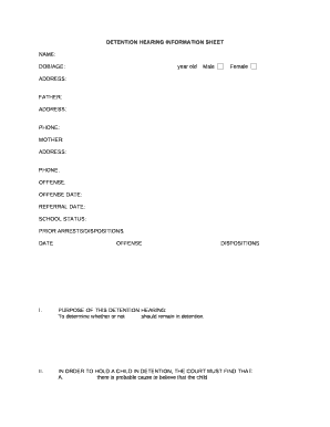 DETENTION HEARING INFORMATION SHEET