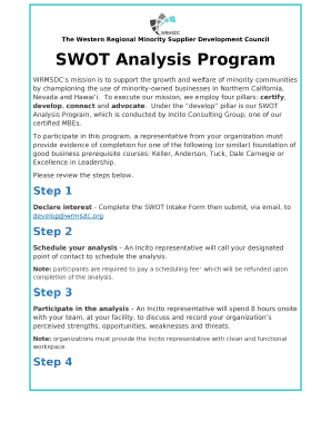 SWOT Analysis Program