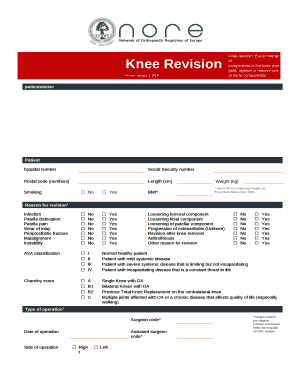 Knee Revision