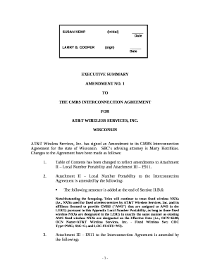 THE CMRS INTERCONNECTION AGREEMENT