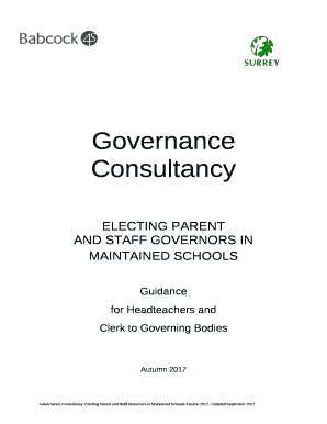 Governance Consultancy