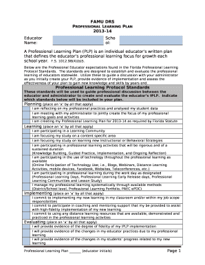 Form preview picture