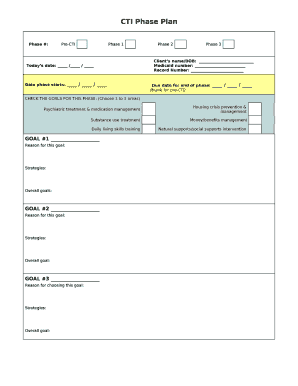 CTI Phase Plan