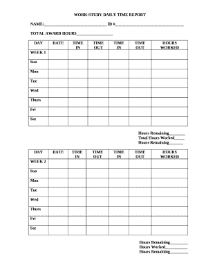 daily extra work report template