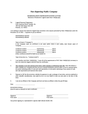 Non-Reporting Public Company