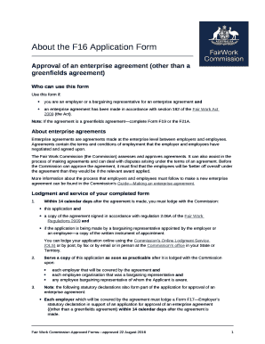 About the F16 Application Form