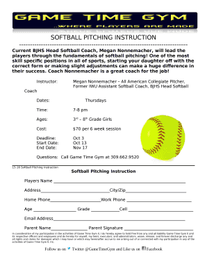 SOFTBALL PITCHING INSTRUCTION