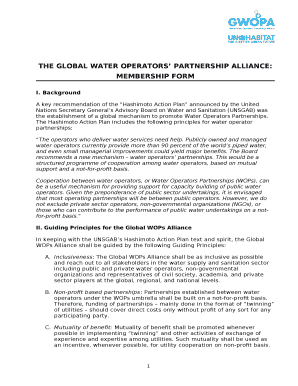 THE GLOBAL WATER OPERATORS PARTNERSHIP ALLIANCE: