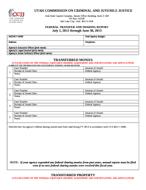 Agencys Executive Officer (print name):