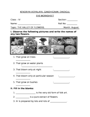 Form preview picture