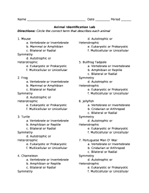 Animal Identification Lab