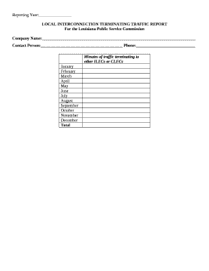 LOCAL INTERCONNECTION TERMINATING TRAFFIC REPORT