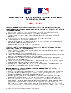 Mlb youth development foundation