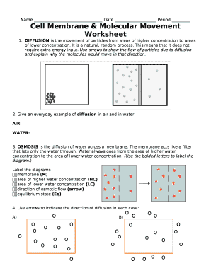Cell Membrane & Molecular Movement Worksheet
