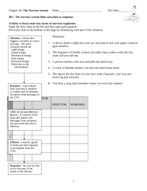 Chapter 28: The Nervous SystemNameTest Date