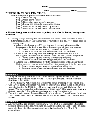 Dihybrid cross practice