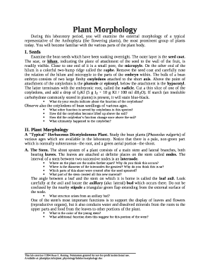 Plant morphology pdf